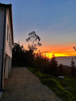Quinta da Picouta